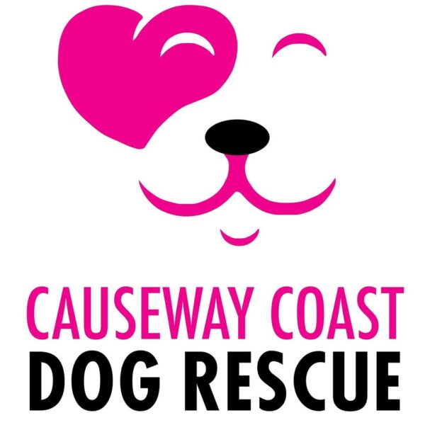 Causeway Coast Dog Rescue – Helping Dogs Find Their Forever Home