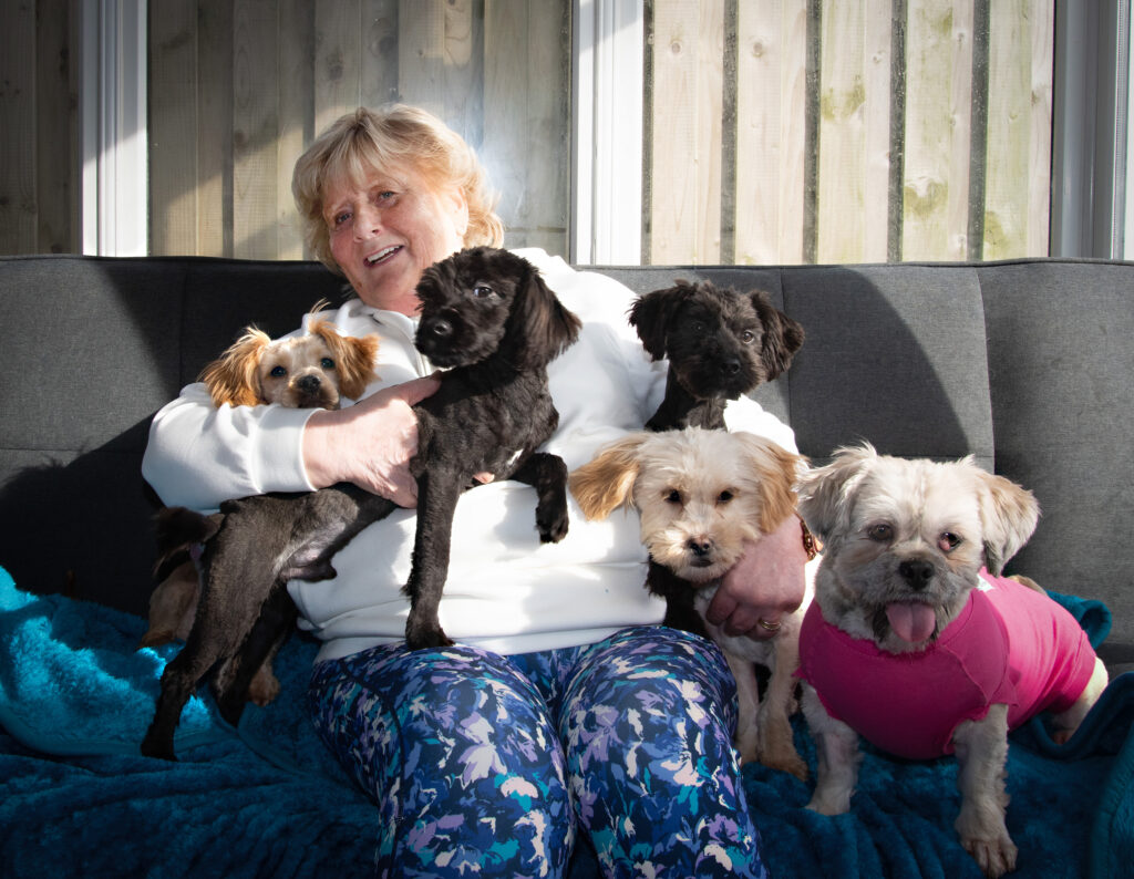 CCDR's Chair seen here with surrendered mother and her pups, calls on review of all Breeding in Northern Ireland