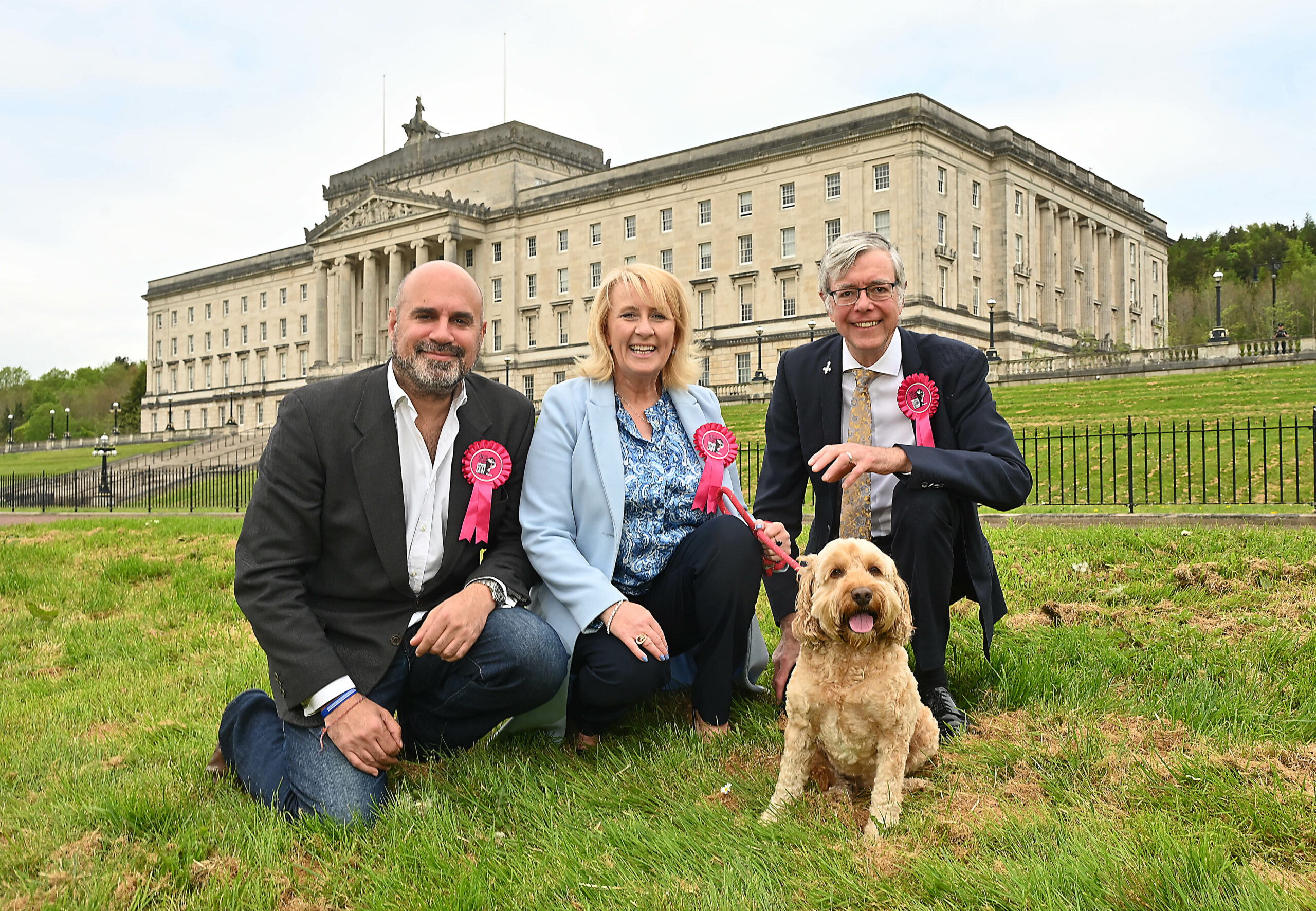 Read more about the article Aligning Stormont with Westminster to Improve and Reform Animal Welfare in Northern Ireland